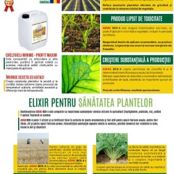 ASFAC BCO 4 – Biostimulator pe bază de auxină, cu efect de regenerare pentru culturi sănătoase